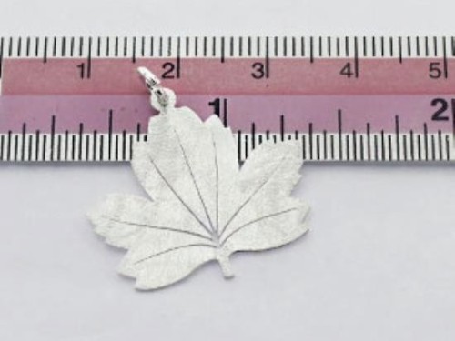 1 of 925 Sterling Silver Maple Leaf Pendant 21x24mm. Brush Finished