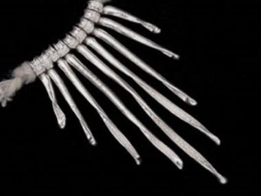 Karen Hill Tribe Silver Stalk Charms 15 - 40 mm.