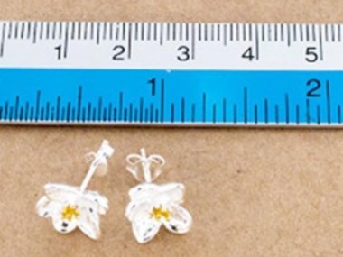 925 Sterling Silver Orchid Stud Earrings, Gold plated pollen 9x10mm.