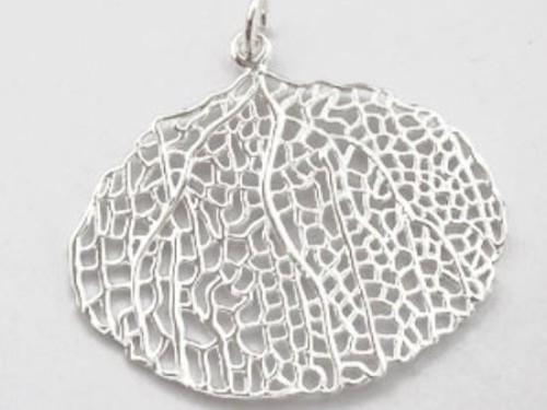 1 of 925 Sterling Silver Fan Coral Pendant 36x28mm.Polish Finished