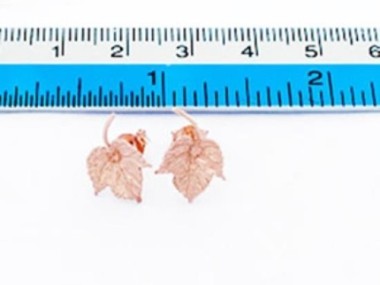 925 Sterling Silver Rose Gold Vermeil Style Maple Leaf Stud Earrings 10mm.